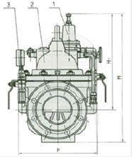 200X 减压阀 外形尺寸图1