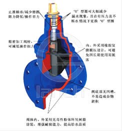 RVHX暗杆软密封闸阀 结构图